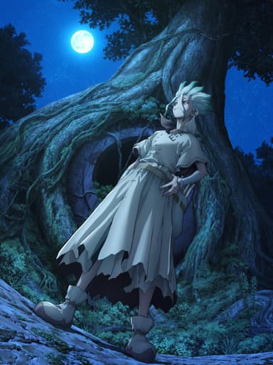 Dr. STONE New World